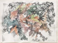 Bernard Schultze (1915 Schneidemühl - Köln 2005)