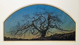 Kleurenhoutsnede, Siemen Dijkstra