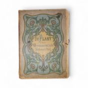 Botanie: De Plant in hare ornamentale behandeling