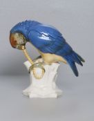 Storch, Arthur (1870-1947): Papagei