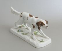 Meissen Jagdhund