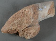 Wohl Dinosaurierknochen, versteinert, H=22 cm, L=60 cm, B=30 cm.