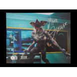 STRANGER THINGS SERIES PHOTO SIGNED AUTHENTICATED