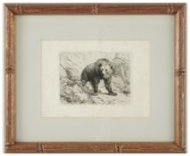 Friedrich Gauermann (Miesenbach 1807-1862 Wien