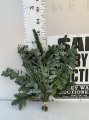 ONE MIXED CHRISTMAS FOLIAGE SWAG TO INCLUDE EUCALYPTUS, SPRUCE ETC. APPROX 70CM IN HEIGHT