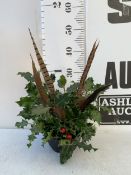 ONE CHRISTMAS TABLE ARRANGEMENT TO INCLUDE HOLLY, BERRIES AND PHEASANT FEATHERS. APPROX 35CM TALL