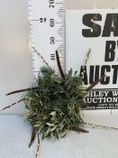 ONE CHRISTMAS MOSS WREATH TO INCLUDE FIR, SPRUCE, OLIVE, PUSSY WILLOW AND PHEASANT FEATHERS WITH A