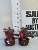 TWO CHRISTMAS ROBIN BASKET PLANTERS WITH MINIATURE POTTED RED ROSES IN PRESENTATION SLEEVES.