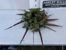 ONE NATURAL CHRISTMAS WREATH TO INCLUDE HOLLY, IVY, BERRIES AND PHEASANT FEATHERS. APPROX 40CM IN