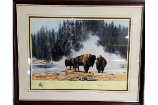 A framed limited edition signed David Shepherd print "The hot springs of Yellowstone", number 336 of - Image 1 of 5