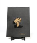 Fuchs, Anton (geb. 1958 in Köln),