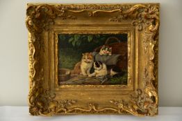 Benno Kögl - Drei Katzen