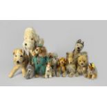 Steiff-Hunde Konvolut, 34 teilig, verschiedene alte Hunderassen von Steiff (1948-1976), Größen von