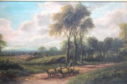 Schafhirte mit Herde