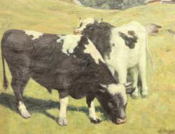 Timed Auction spring 2025