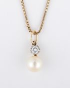 Anhänger, 14 K GG und WG,