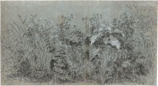 Niederländisch: 17. Jh. Wiesenstück mit Gräsern und Blattgewächsen