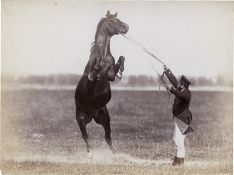 Anschütz, Ottomar: Equestrian training