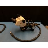 Unitron Binocular Microscope Head w/ Fiber Optic Illuminator Adapter