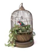A brass bird cage,