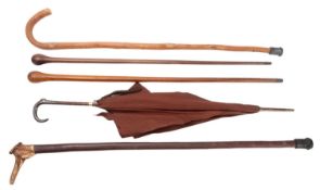 A collection of various walking sticks.