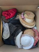 A collection of lady's hats. In a range