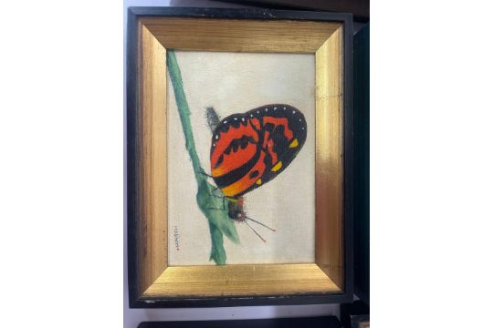 Lot of 5 Original Alex Mugmon Oil Paintings of Butterflies - Image 6 of 12