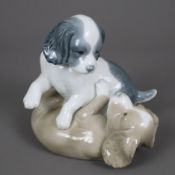 Spielendes Welpenpaar - Nao/Lladro, Spanien, 2.Hälfte 20.Jh., Porzellan, polychrome Bemalung in Pas
