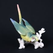 "Wellensittich" - Karl Ens, Volkstedt-Rudolstadt, Porzellan, polychrome Unterglasurbemalung, natura