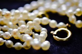 SINGLE ROW OF FRESHWATER PEARLS KNOTTED WITH A 9K GOLD CLASP