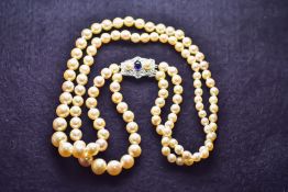 2 ROW PEARL NECKACE COLLAR WITH A PLATINUM DIAMOND, PEARL & SAPPHIRE SET CLASP