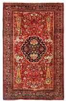Sultanabad Carpet 10 ft. 11 in. x 17 ft.