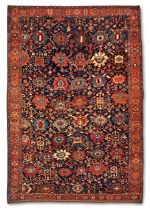Bakshaish Carpet with Harshang Design 9 ft. 10 in. x 14 ft. 1 in.