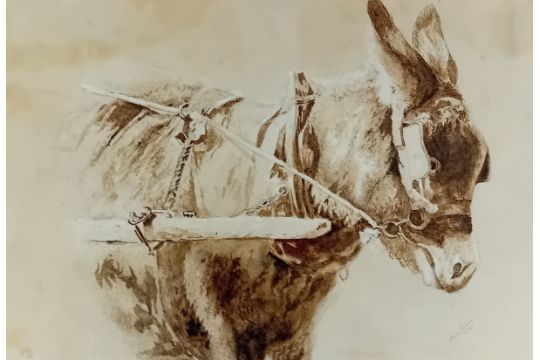 A.L Watercolour ''Donkey'', signed. [52x65cm] - Image 1 of 4