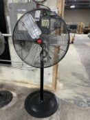 OEM TOOLS 32" DIA. PED. SHOP FAN