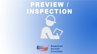 Preview / Inspection