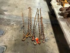 (8) 3' Chains with Hook