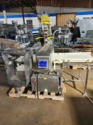 Conveyor with Safeline/Mettler Toledo Metal Detector, opening is 20" W X 5" T to conveyor has air
