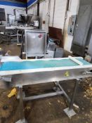 Conveyor Plastic Belt, 240/480 volts, 3 phase, belt is 12" wide, on legs, 34" W X 60" L X 52" T,