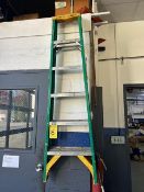 Werner A-Frame Ladder