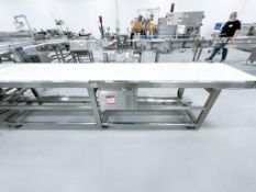 Food Grade Transfer Conveyor