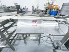 PTL Conveyor - Bar Orienter