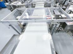 PTL Conveyor (over the top conveyor)