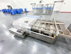 Check Weigher model cw-10L-100W