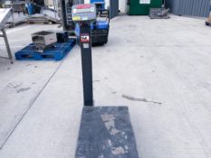 3000 Defender Small Floor Scale