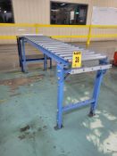 MOODY Manual, Inclinable, Adjustable Roller Conveyor with 2-Level Steel Table