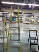 FEATHERLITE Heavy-Duty Fibreglass Stepladder, 6-step