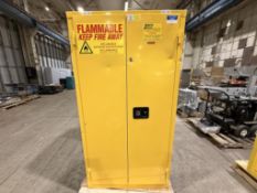 Fire Safe Cabinet (D5)