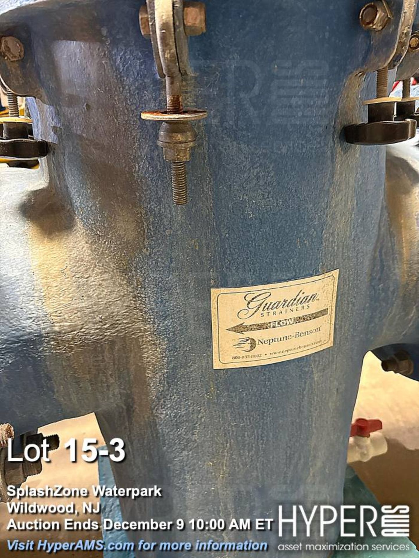 (2) Weg 25 HP Motors, Frame -284 with Guardian Strainers/ Neptune-Benson Industrial Water Pump Syste - Image 3 of 6