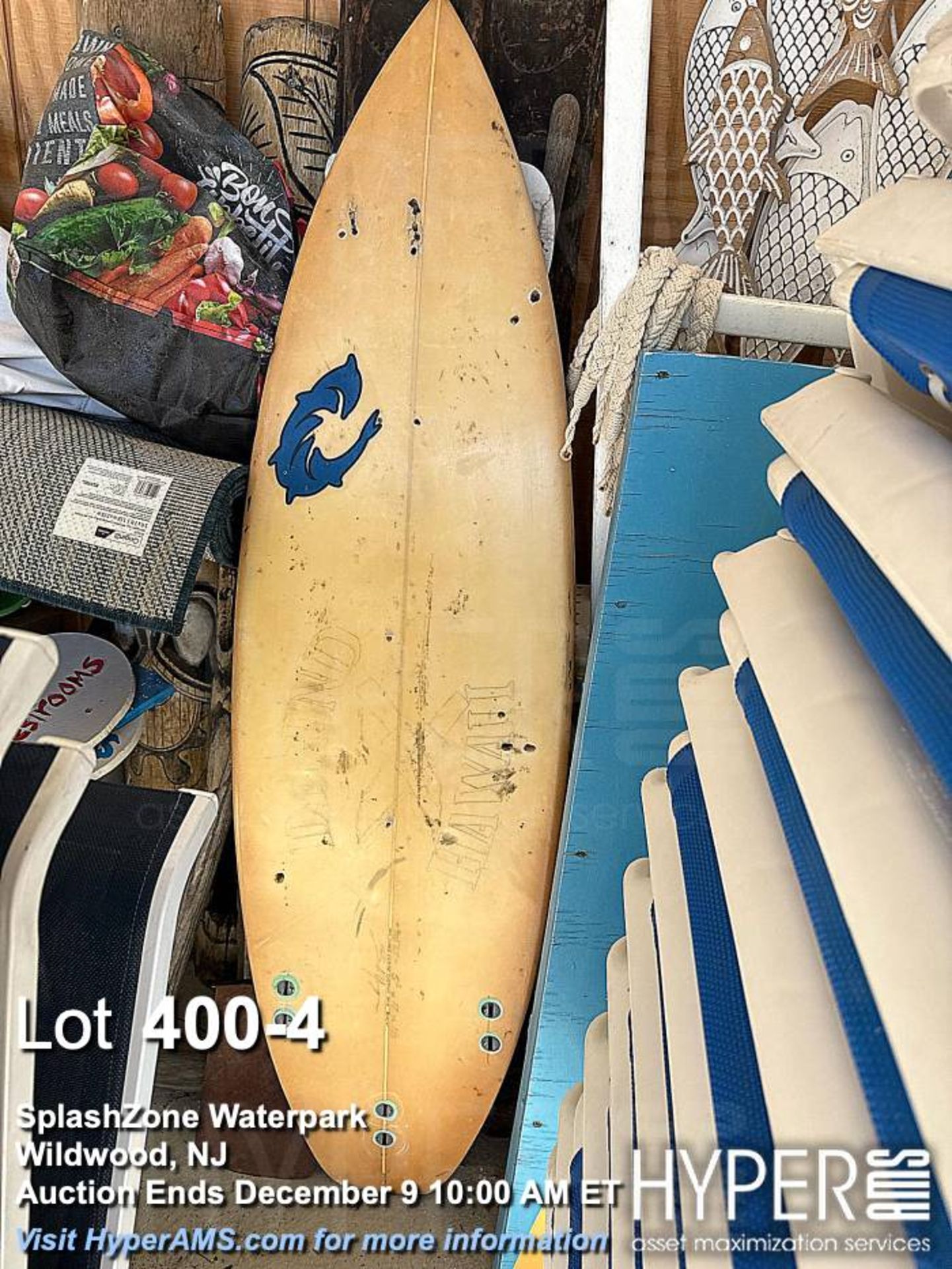 Misc Outdoor furniture with approximately 20 lounges and Longboard and Fyasko Shortboards with Uniqu - Image 4 of 7